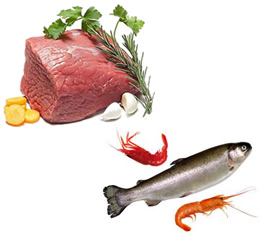 肉制品水産品烘幹機